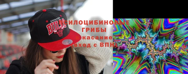 скорость Белокуриха