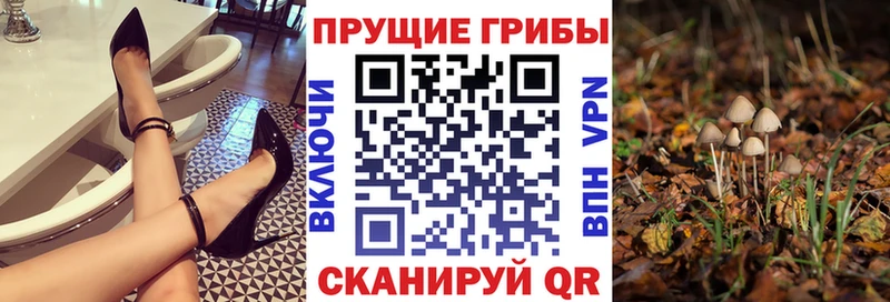 Псилоцибиновые грибы MAGIC MUSHROOMS  Межгорье 